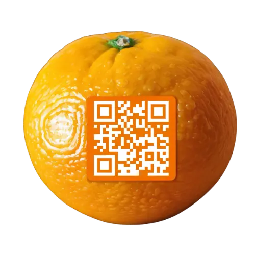 Pomarańcza z naklejonym kodem QR